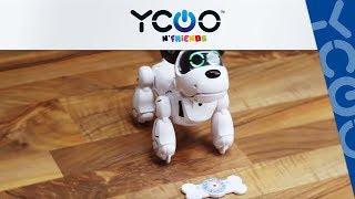 Tutoriel Robot Pupbo Français