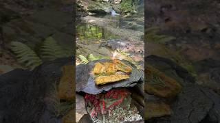 Doğal Taş Üzerinde Levrek Balığı  - Cooking sea bass Fish on natural stone