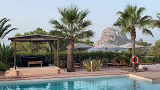 IBIZA 4* Hotel PETUNIA 1/3