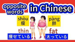 Learn Chinese-Opposite words in Chinese 反意語#learnchinese #中国語勉強#basicchinese