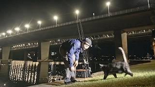 Fishing a bridge with bait! (Ft. Cat)