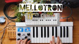 Mellotron Micro,Teenage engineering OP-1 field JAM live looping 6/7/24 10:30