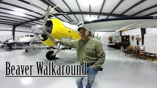 De Havilland Beaver Walkaround