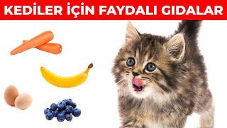 Kediler için EN FAYDALI atıştırmalıklar!