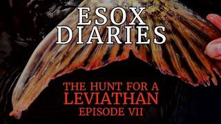 Esox Diaries | The Hunt for a Leviathan | Episode VII | Specimen Pike Fishing | Lake of Menteith