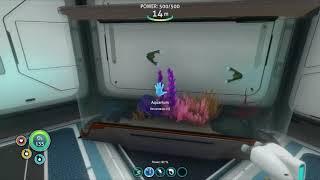 Subnautica How To Breed Fish (Quick Tips)