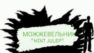 Можжевельник Минт Джулеп "Mint Julep"