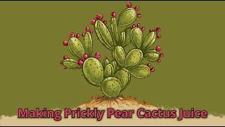 Making Prickly Pear Cactus Juice