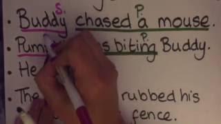 Identifying Subject and Predicate
