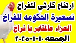 اسعار الفراخ اليوم/ سعر الفراخ البيضاء اليوم الجمعه 10-2025 في مصر جمله وقطاعي