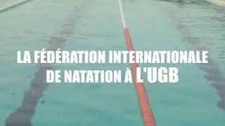 La fédération internationale de la natation