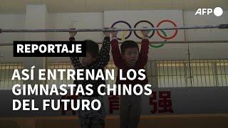 De la cuna a los Juegos Olímpicos, así entrenan los futuros gimnastas chinos | AFP