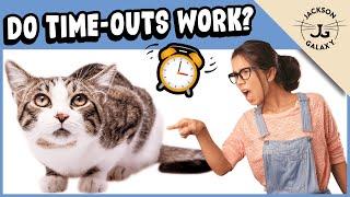 Time Out for Cat - Effective or Cruel?