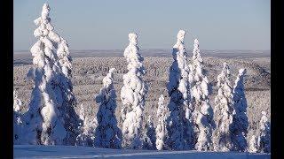 Winter of Pello in Lapland Finland - Pellon talvi - Lappi - Arctic Circle Finnish Lapland