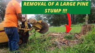 Removal of a Large Pine Stump With Rayco Rg50 Stump Grinder