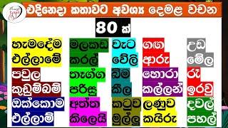 දෙමළ වචන  / Tamil words | Punchi Danuma