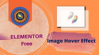 How to Create Image Hover Effect In ELEMENTOR Web Site Builder |Urdu/Hindi | WordPress.