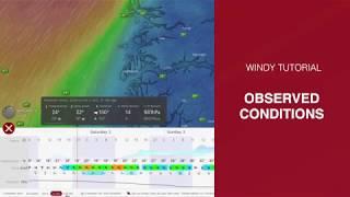 Observed weather conditions - WINDY TUTORIAL