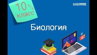 Биология. 10 класс. Факторы и условия, влияющие на активность ферментов /16.11.2020/