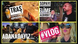 TEMİZLİK VLOG️ Traş Köpüğü Deyip Geçmeyin! Ve ADANAdayız!