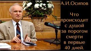 ️Что происходит с душой за порогом смерти в первые 40 дней. А.И.Осипов Православный апологет