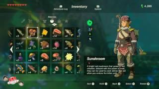 ZELDA  BREATH OF THE WILD   Tutorial How to Solve the Riddles Of Hyrule Side Quest in Korok Forest