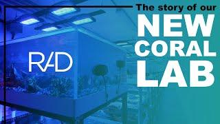 CORAL LAB LAUNCH. GREAT AQUACULTURE CORALS FOR ALL OUR CUSTOM-MADE AQUARIUMS BY REEF AQUARIA DESIGN.