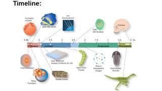 5. Earth's Changing Landscape