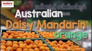 Is Daisy Mandarin Orange just another same orange ??