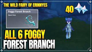 All 6 Foggy Forest Branch | The Wild Fairy of Erinnyes Sequel | World Quests |【Genshin Impact】