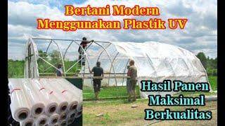 Rumah Tanaman Plastik UV (Ultra Violet) untuk Green House Hasil Kebun Lebih Melimpah