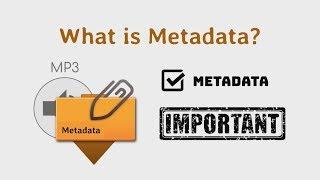 How to Embed Metadata in Music Files