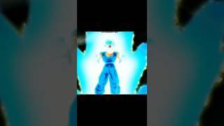 Fusion unleashed: Goku and Vegeta merge into the unstoppable Vegito!