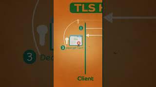 TLS Handshake Explained #systemdesign #ssl