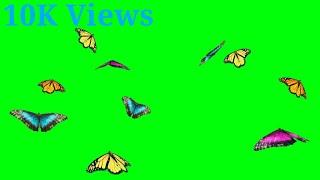 green screen video butterfly 2021.animation effects| Butterfly overlay Green screen videos effects.