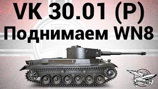 VK 30.01 (P) - Поднимаем WN8