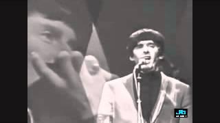 The Brummels -  Laugh Laugh (overdub)