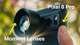 Google Pixel 8 Pro + Moment Lenses | Test & Review