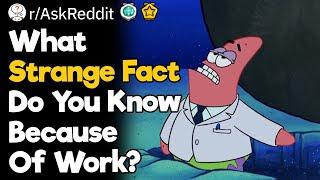 What Strange Fact Do You Know Because Of Work?