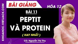 Peptit và protein - Bài 11 - Hóa học 12 - Cô Nguyễn Thị Thu (HAY NHẤT)