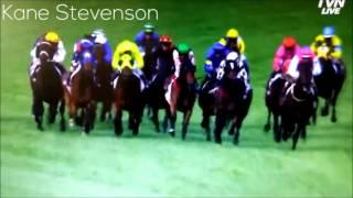 Preferment - AAMI DERBY 2015