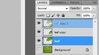 Create a Leaf from a Texture: Photoshop