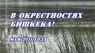 В окрестностях Бишкека! Май 2021 года.