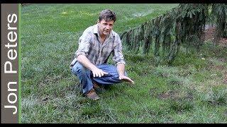 How to Make Grass Grow Fast & Fix Bald Spots