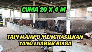 UKURAN KANDANG 20 X 4 METER, 5 Bulan Mampu Memberikan Hasil 80 Juta. Fantastis