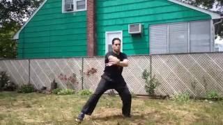 Kung Fu Fight Dance