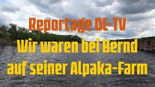 Reportage DC-TV: Wir waren bei Bernd auf seiner Alpaka-Farm