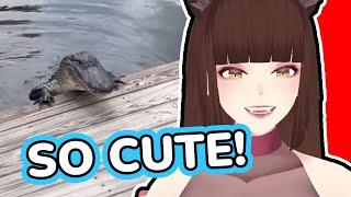 Little Guy Just Saying Hi | Saeko Reacts To Daily Dose Of Internet