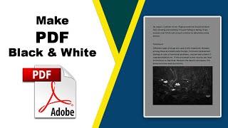 How to Make a PDF Black and White using Adobe Acrobat Pro DC