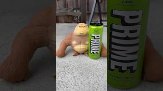 Squishy Monkey Drinks Prime  #shorts